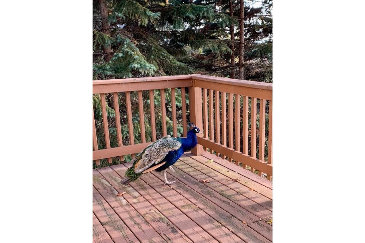 Lakeview & Wildlife Au Gres Luaran gambar