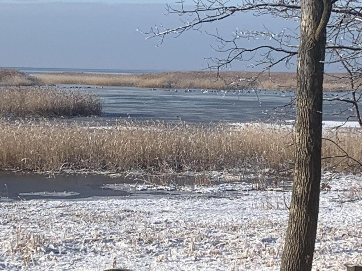 Lakeview & Wildlife Au Gres Luaran gambar